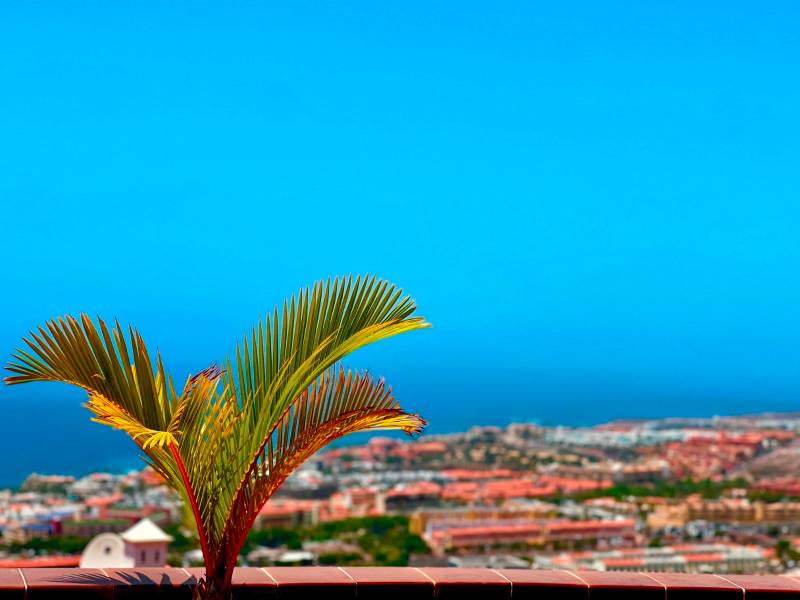 AMPLIO APARTAMENT EN ROQUE DEL CONDE
